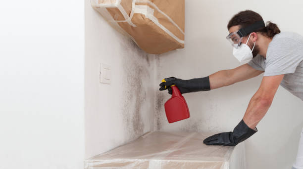 Professional Mold Testing technician working in Farmingdale, NY