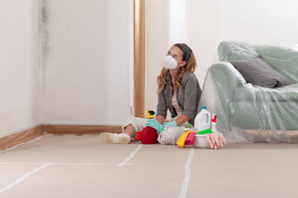 Reliable Mold Testing contractor in Farmingdale, NY by WQB Mold Removal